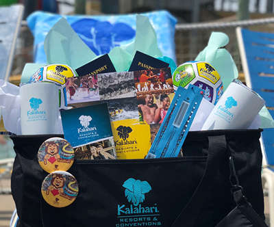 an overview of the Ultimate Kalahari Package equipped with cups, balls, tickets, passports, and much more!