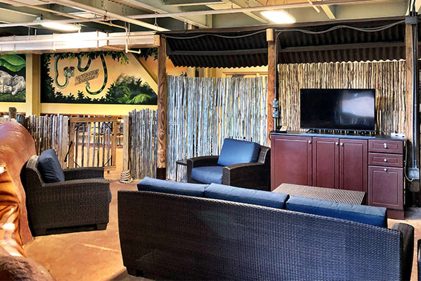 Overview of the Kids safari cabana. Includes table, chairs, tv, and a couch. It's very jungle kid-themed Overview of the Kids safari cabana. Includes table, chairs, tv, and a couch. It's very jungle kid-themed