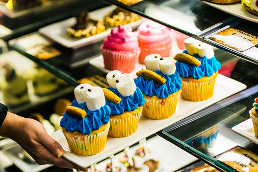 Java Manjaro | Ohio | Kalahari Resorts & Conventions