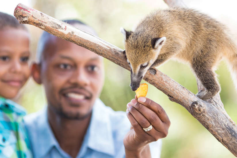 a father and son feeding an animal