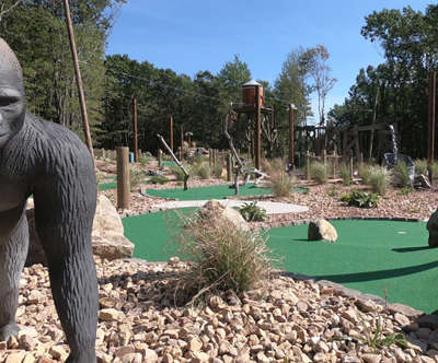 an overview of Legends of the Lost Jungle mini golf with a giant gorilla in it.