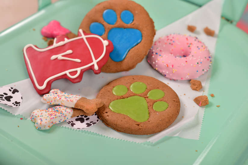 Housemade Dog Treats