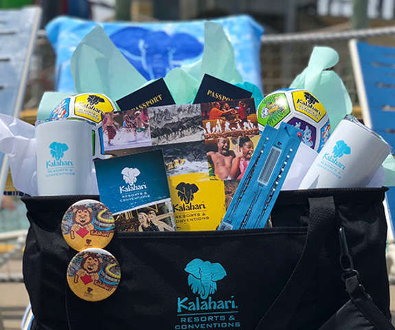 an overview of the Ultimate Kalahari Package equipped with cups, balls, tickets, passports, and much more!