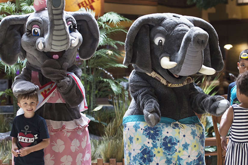 Kenya & Kya, the Kalahari elephants, are giving hugs and high-fives to a group of kids