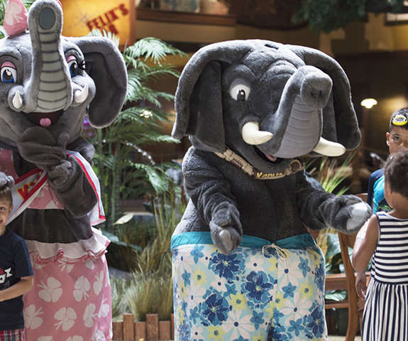 Kya and Kenya, the Kalahari elephants, giving out hugs in the lobby