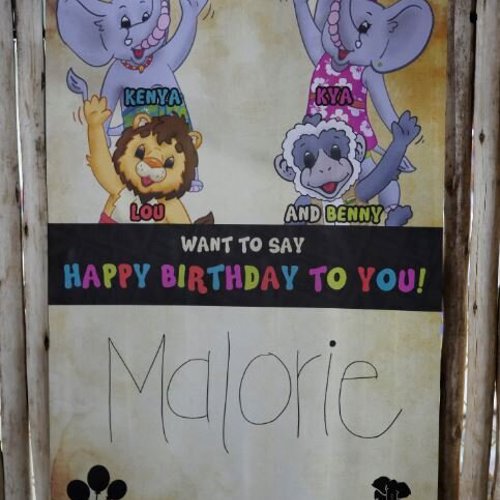 Custom Birthday Door Sign