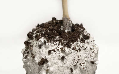a oreo caramel apple from Candy Hut