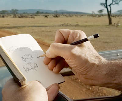 a man sketching out bison in his notebook
