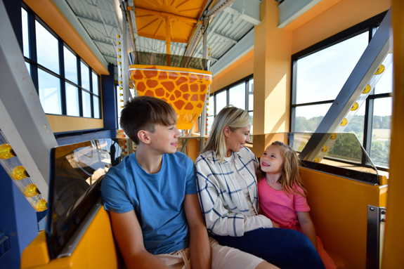 Family on the ferris wheel
