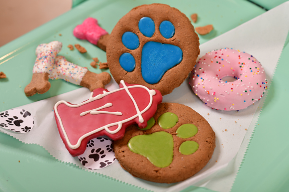 Housemade dog treats