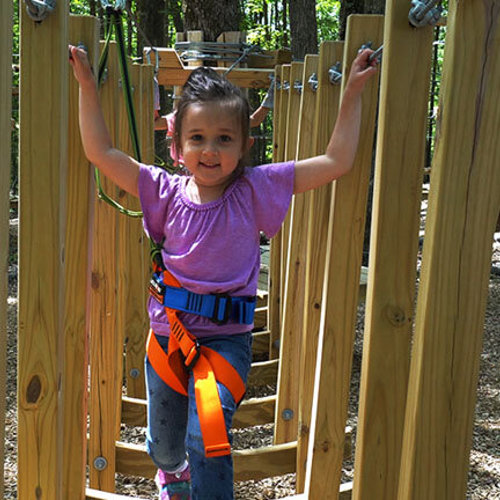 Gorilla Grove Treetop Adventures Ropes Course